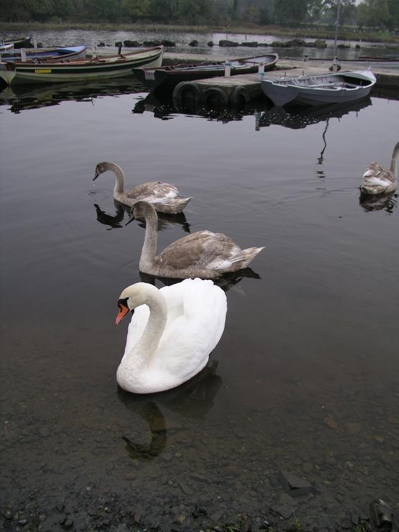 אוטרארד Lakeland Midsummer Lakehouse מראה חיצוני תמונה